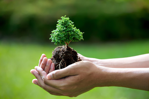 Bảo vệ môi trường